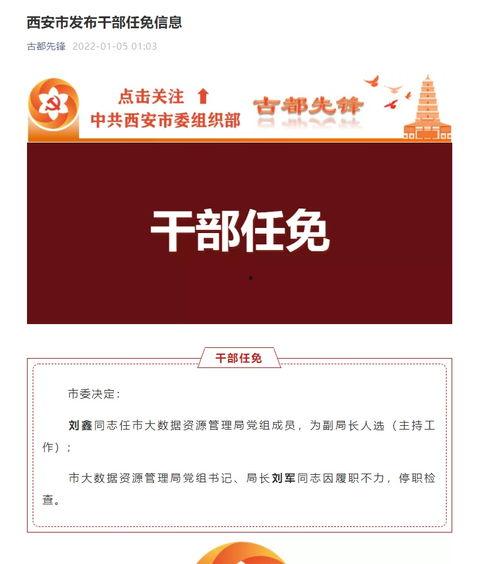 西安大数据爆料最新消息,揭秘城市智能化发展新动态