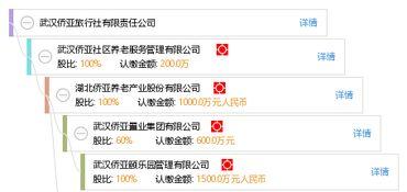 武汉侨亚集团最新爆料,揭秘企业转型与市场布局新动向