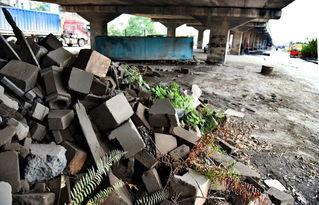 许先生最新爆料