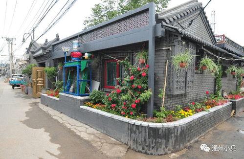 元旦扭蛋机2025最新爆料,揭秘最新爆料，惊喜不断等你来揭晓！